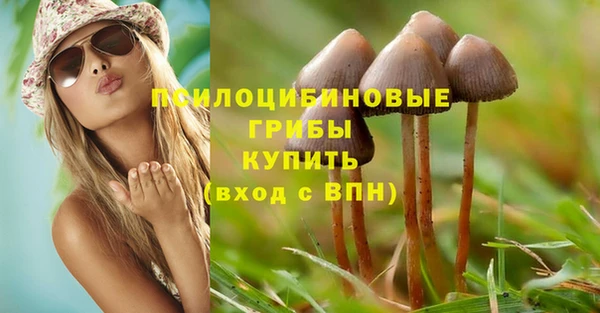 СК Мегион