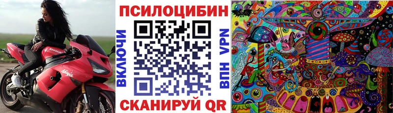 Псилоцибиновые грибы Psilocybine cubensis мега как зайти Шлиссельбург